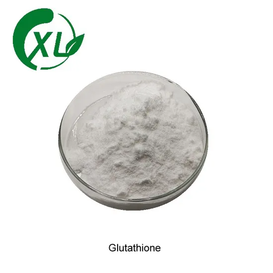 99% Purity Pharmaceutical Nootropics CAS 28319-77-9 Alpha GPC Powder