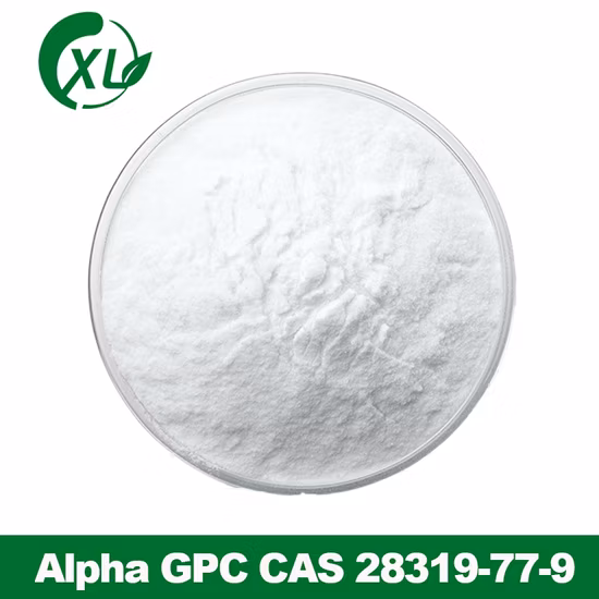 GMP Nootropics Powder 99% Alpha GPC; Alpha-GPC with Best Price CAS 28319-77-9