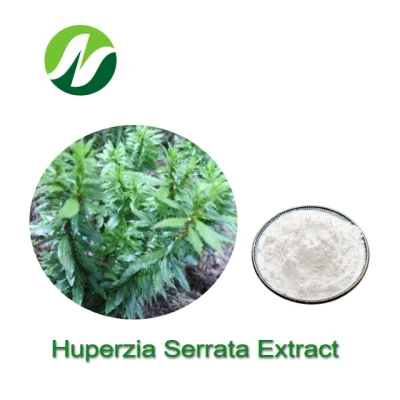 High Standard 1%-99% Huperzine a Huperizia Serrata Extract
