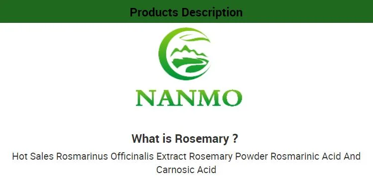 Chinese 100% Natural Herbs Extract Rosemary Leaf Extract Powder