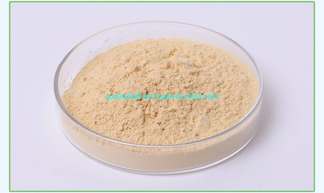 Water Soluble for Drink Red Ginseng Root (leaf) Extract with Low Pesticide Residue Herb Medicine