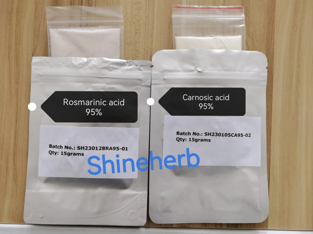 100% Rosemary Extract Carnosic Acid Powder Carnosic Acid Oil