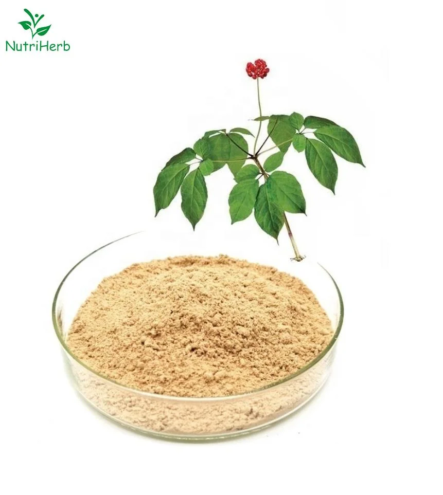 Supplement 1%-10% Ginsenosides Panax Ginseng Leaf Extract/Ginseng Root Extract