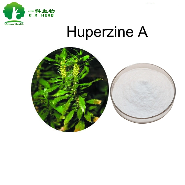 E. K Herb Top Quality 1% Huperzine a Huperzia Serrata Extract