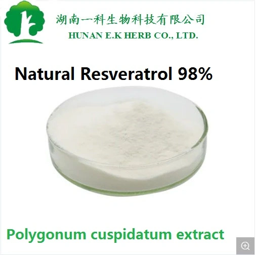 E. K Herb 12 Years Manufacturer Directly Supply Antixoidant Anti-Aging 98% Resveratrol Powder CAS 501-36-0 Natural Resveratrol Polygonum Cuspidatum Extract