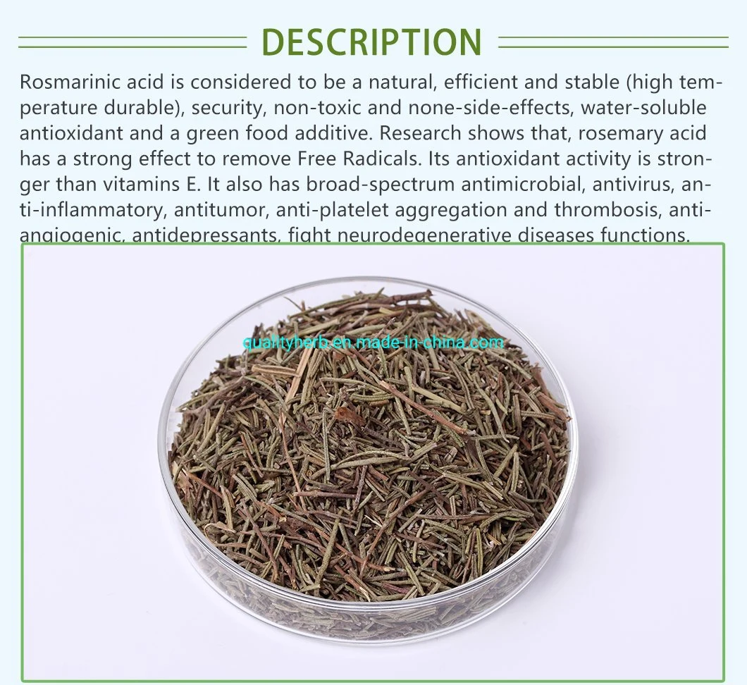 Natural Rosemary Extract with Rosemaric Acid Carnosic Acid Ursolic Acid with Strong Anti-Oxidatant