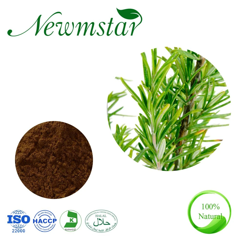 Natural Rosemary Extract 5%~60%/ Carnosic Acid 2.5%~98% /Rosmarinic Acid 25%~98% /Ursolic Acid Essential Oil Feed Additive Herbal Extract Rosemary
