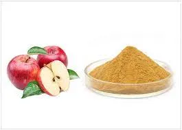 Natural Apple Peel Extract Phloridzin CAS No: 60-81-1with High Quality