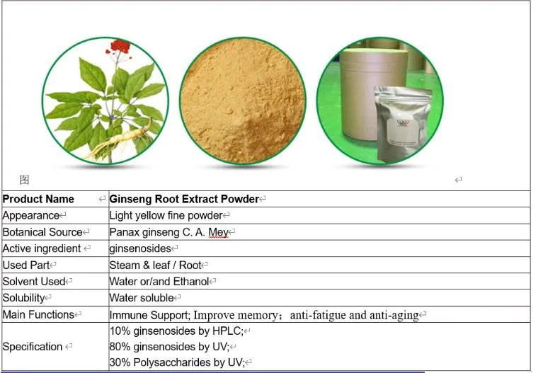 100% Healthcare Supplement High Quality Bulk Stock Wholesale Ginseng Extract