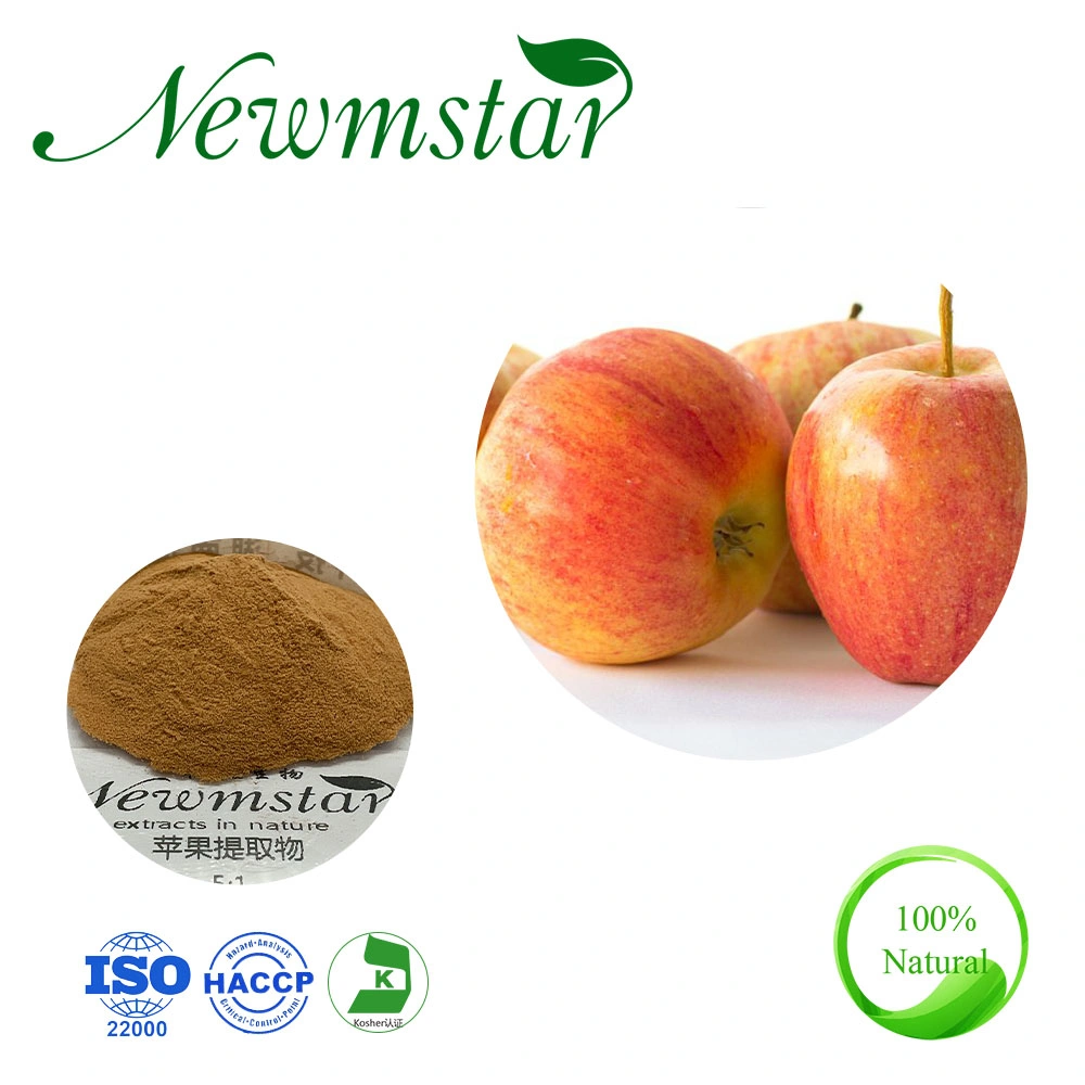 Free Sample Natural Apple Polyphenols Powder Pure Apple Extract