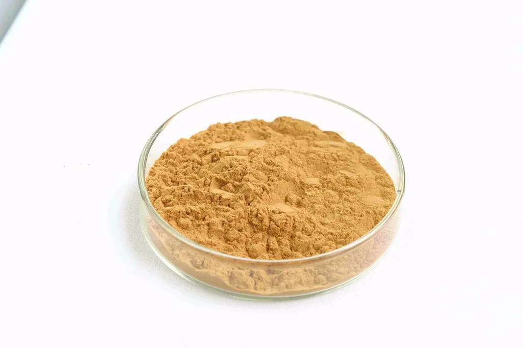 High Quality Monk Fruit Extract Powder/ Luo Han Guo Extract
