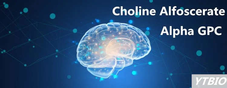 Choline Glycerophosphate CAS 28319-77-9 Alpha-GPC Powder 99%