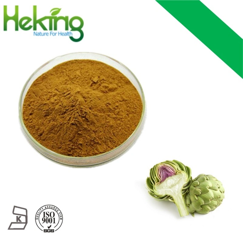 ISO Certified Artichoke Extract in Herbal Extract Cynarin 2.5%-5%