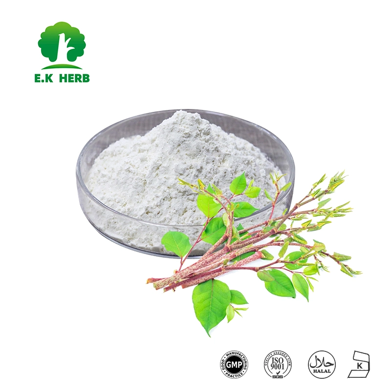 E. K Herb Top Quality 1% Huperzine a Huperzia Serrata Extract
