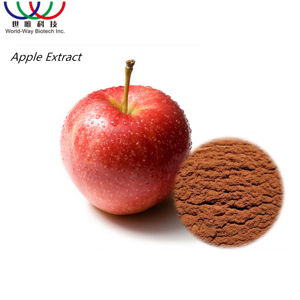 Free Sample GMP Kosher Natural Bulk Price 1%~95% Phloridzin Apple Extract