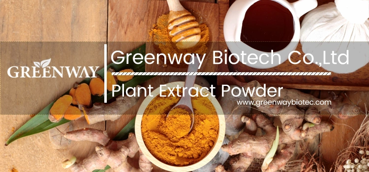 Supply Food Grade Polyphenols Echinacea Purpurea Extract Powder/Echinacea Goldenseal Root Extract