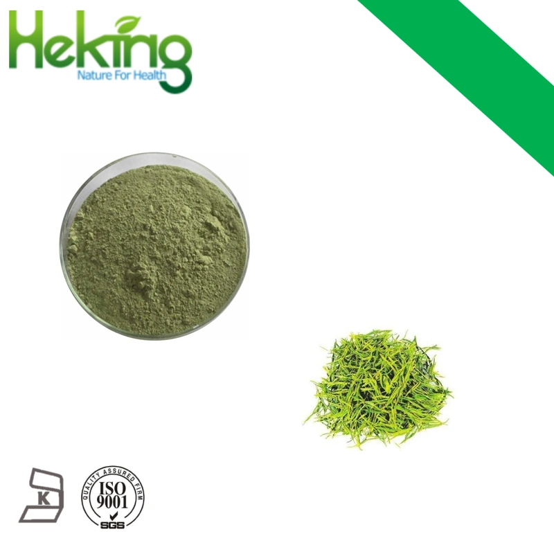 Best Quality Green Tea Extract 10%-98% Tea Polyphenols Good Price