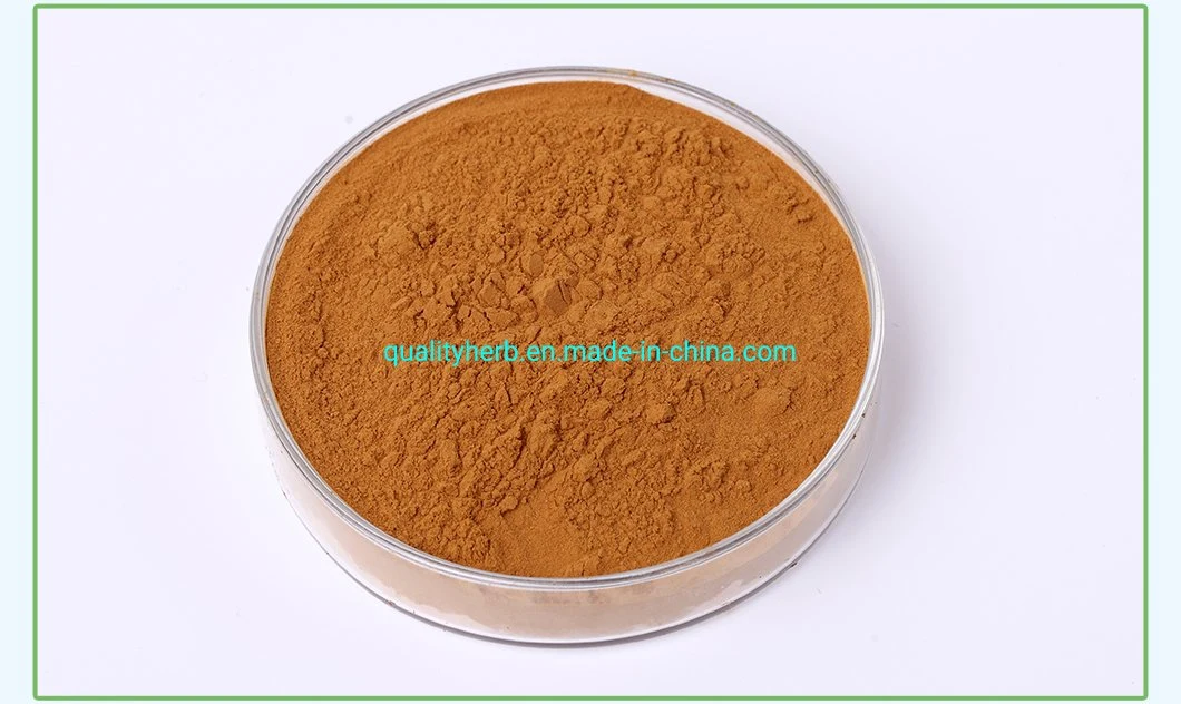 Natural Rosemary Extract with Rosemaric Acid Carnosic Acid Ursolic Acid with Strong Anti-Oxidatant