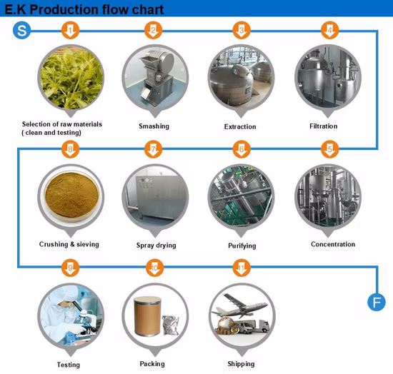 World Well-Being Biotech ISO&FDA Certified 5%-98% Chlorogenic Acid Artichoke Green Coffee Bean Honey Suckle Flower Eucommia Ulmoides Extract