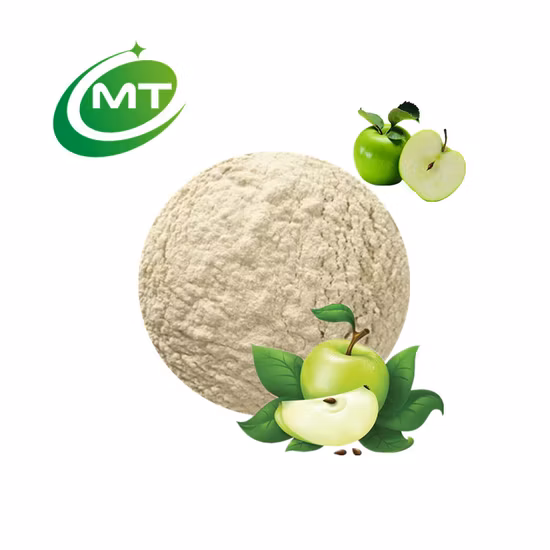 Apple Extract Powder Food and Beverage Fruit Extract Polyphenol 10% Malus Domestica