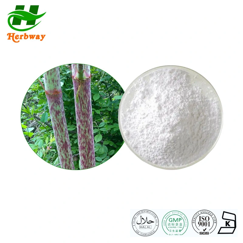 Herbway Kosher Halal Fssc HACCP Certified Polygonum Cuspidatum Polydatin Resveratrol Powder Plant Extract