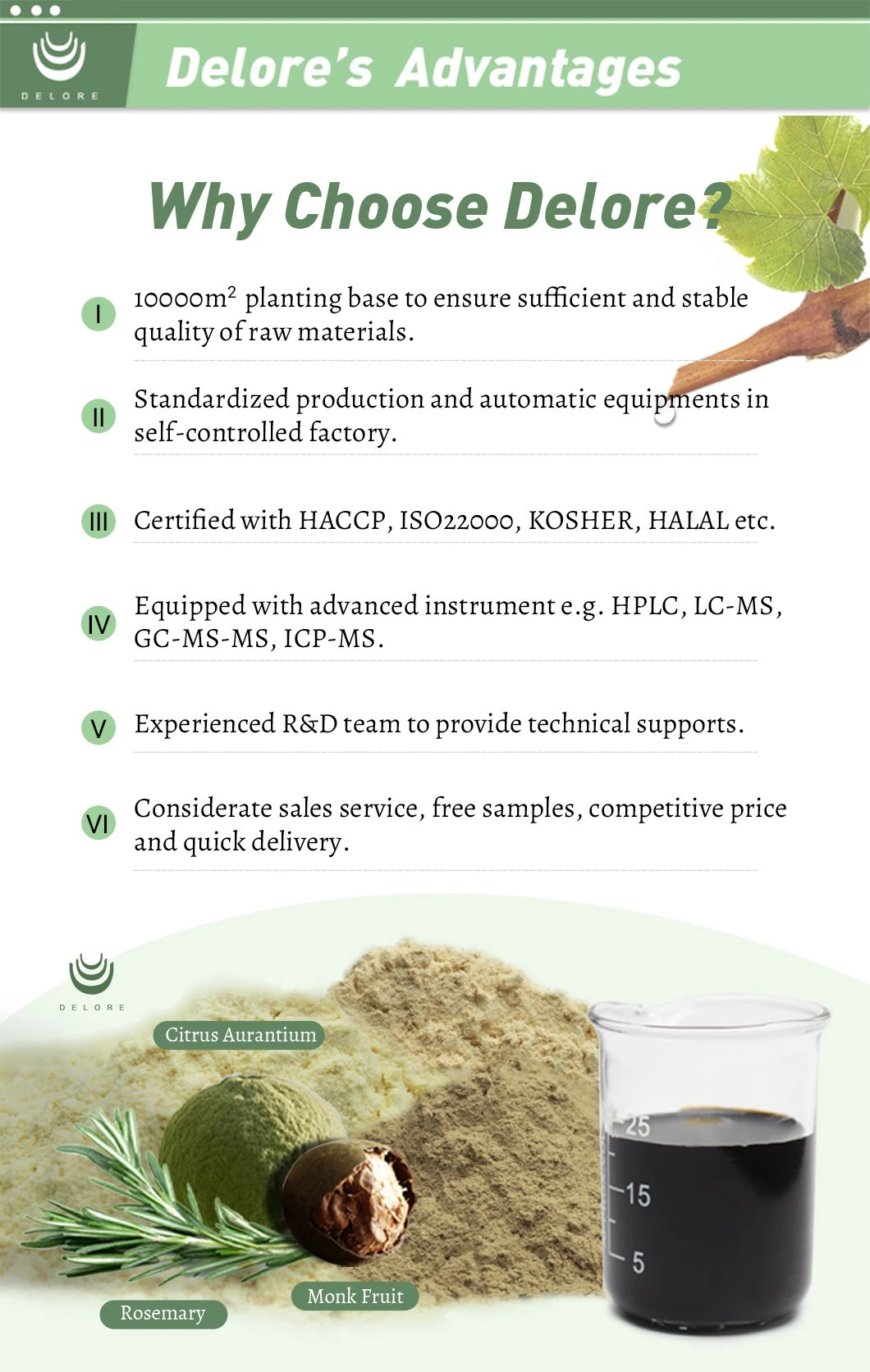One Leaf Green Tea 1kg Loose Tea Organic Premium Good Price Low MOQ Best Brand Selling Green Tea Extract