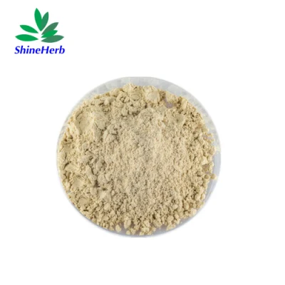 Natural Sweetener Luo Han Guo 60% Mogrosides 25% Mogroside V Monk Fruit Extract Powder