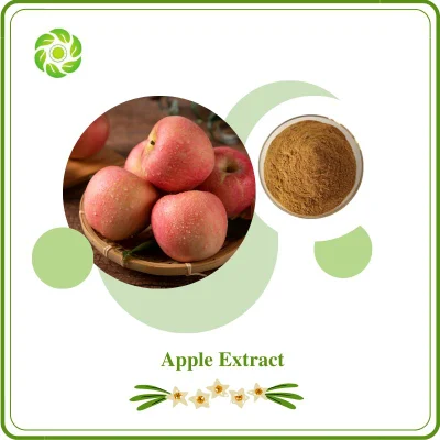 World Well-Being Biotech Phlorizin 98% Acetic Acid 5-10% Antioxidant Mainly Treats Fever Thirst Dry Lungs and Cough Polyphenols 50-95% Apple Extract