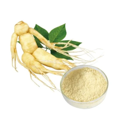 100% Healthcare Supplement High Quality Bulk Stock Wholesale Ginseng Extract
