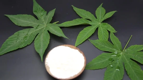 Rosmarinic Acid Powder 20% Rosemary Leaf Extract (4: 1 to 20: 1)