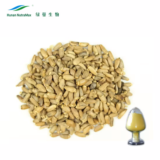 Silymarin 80% UV HPLC Silybin Milk Thistle Extract