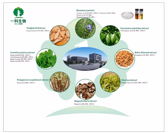 World Well-Being Biotech ISO&FDA Certified 5%-98% Chlorogenic Acid Artichoke Green Coffee Bean Honey Suckle Flower Eucommia Ulmoides Extract