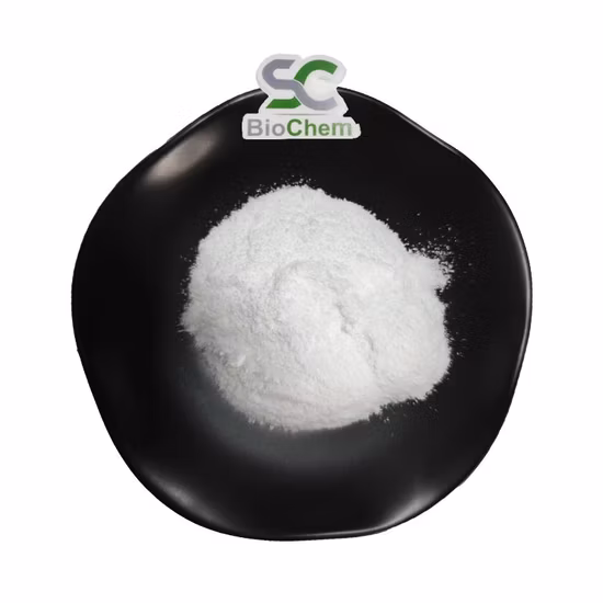 Manufactory Huperzia Serrata Extract Powder