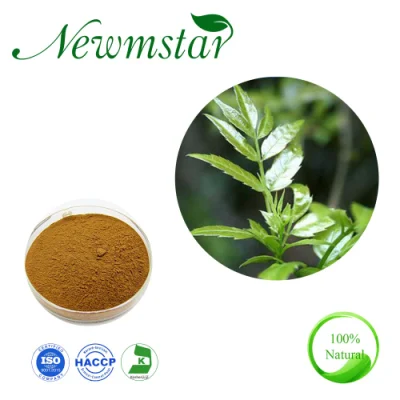 High Quality Vine Tea Extract 98% Dihydromyricetin Dhm for Liver Protection