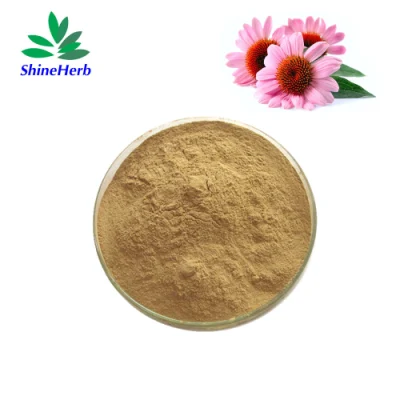 Natural 4% Polyphenols 1% Chicoric Acid Echinacea Purpurea Extract
