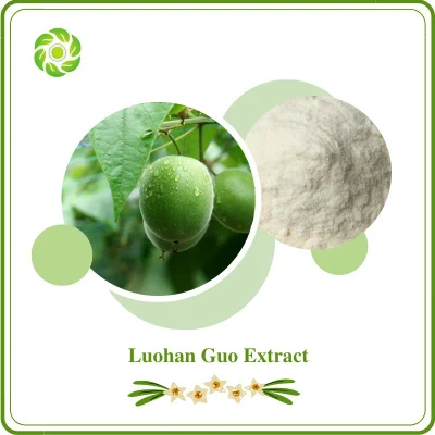 World Well-Being Biotech ISO&FDA Certified OEM Manufacturer 10%-95% Mogrosides 10%-50% Mogroside V Monk Fruit Extract Luohan Guo Extract
