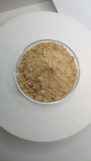 Ginsenosides 5%~80% Water Soluble Ginseng Root /Leaf Extract Herbal Extract