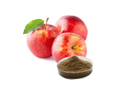 High Quality Apple Fiber Extract in Best Price