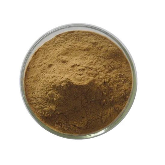 Supplement 1%-10% Ginsenosides Panax Ginseng Leaf Extract/Ginseng Root Extract