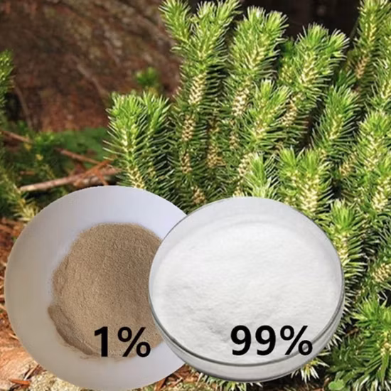 Greensky Huperzia Serrata Extract (Thunb.) Trev.